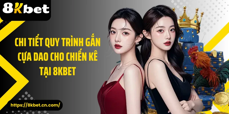 Chi tiết quy trình gắn cựa dao cho chiến kê tại 8KBET