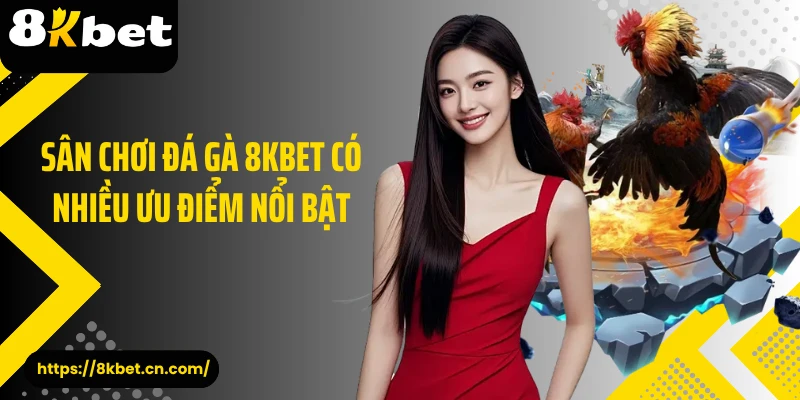 Sân chơi đá gà 8KBET có nhiều ưu điểm nổi bật 